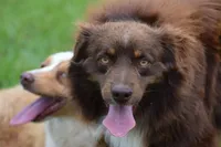 processed/b781cff1-2832-4ecc-87bf-1c81a24892aa/listing/e14c8c4a-8bc4-4b3e-bcef-00da0d72db43/2e7ff03a-5eff-44a9-b21a-112d5d0a9c8a