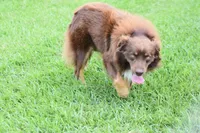 processed/b781cff1-2832-4ecc-87bf-1c81a24892aa/listing/e14c8c4a-8bc4-4b3e-bcef-00da0d72db43/43fee1e8-7810-4ed9-ab88-1ecb84f50a60