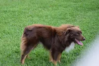 processed/b781cff1-2832-4ecc-87bf-1c81a24892aa/listing/e14c8c4a-8bc4-4b3e-bcef-00da0d72db43/5a59be8b-e73e-444b-9696-948e41f51694