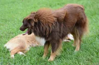 processed/b781cff1-2832-4ecc-87bf-1c81a24892aa/listing/e14c8c4a-8bc4-4b3e-bcef-00da0d72db43/6a048167-7617-4e43-b67c-991eaa3ee98f