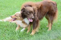 processed/b781cff1-2832-4ecc-87bf-1c81a24892aa/listing/e14c8c4a-8bc4-4b3e-bcef-00da0d72db43/a3523db2-66a4-4af4-a892-0c7d49fe97d5