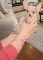 processed/b785156b-ca6b-473d-b0e5-a84c2972b233/listing/38df35cb-7fce-4edd-871c-f4ee28ef4054/721ae5bd-fb6a-4037-ad0d-a1b5b56c12c8