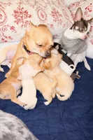 processed/b785156b-ca6b-473d-b0e5-a84c2972b233/listing/38df35cb-7fce-4edd-871c-f4ee28ef4054/9f6b2ea4-9a69-4496-9dc1-c2ca586e3e66