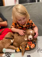 processed/b78a7c3a-80fa-4a77-98a2-bd11bd1d641c/facility/178148dc-d7ca-40e2-92fc-59ed1cd76ef8