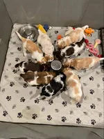 processed/b78a7c3a-80fa-4a77-98a2-bd11bd1d641c/facility/21e13e58-abf2-4ce9-b2c6-800ba730c81a