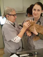 processed/b78a7c3a-80fa-4a77-98a2-bd11bd1d641c/facility/7266f308-0398-496d-a19d-82a46cdaec1e