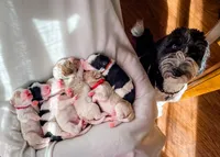 processed/b78a7c3a-80fa-4a77-98a2-bd11bd1d641c/facility/7f44cd5c-f1cc-4ff6-9a8a-4a399793d236