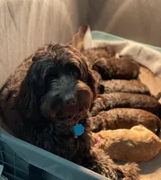 processed/b78a7c3a-80fa-4a77-98a2-bd11bd1d641c/facility/a631074d-7da5-4b8c-ba1e-86aa331ba637