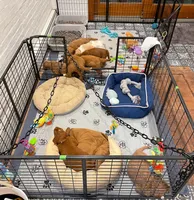 processed/b78a7c3a-80fa-4a77-98a2-bd11bd1d641c/facility/cdb84f41-e76c-4c29-94e8-367fe883d8ce