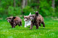 processed/b78a7c3a-80fa-4a77-98a2-bd11bd1d641c/facility/d4236a9c-c037-4ed4-b7ee-e10edb2189db