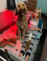 processed/b78a7c3a-80fa-4a77-98a2-bd11bd1d641c/facility/f57fda8e-c7c8-4cfe-8c5c-19ea5c6c6399