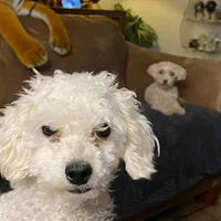 processed/b78c0098-8f47-40a9-b958-adbb42d3a9fc/facility/ff956e6c-e8f8-45bf-9998-f25b37c6f845