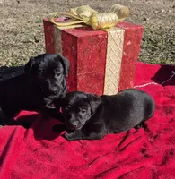 processed/b79182c0-65ef-4d1b-8024-485b4983ce2e/listing/cf8ac3a0-6031-42ed-924d-8239a31e4bc7/097c25ca-6031-4e13-a57e-a48f4d85a325