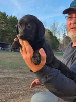 processed/b79182c0-65ef-4d1b-8024-485b4983ce2e/listing/cf8ac3a0-6031-42ed-924d-8239a31e4bc7/30f2bcb1-b743-4703-9bb4-fc013aeb2823