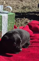 processed/b79182c0-65ef-4d1b-8024-485b4983ce2e/listing/cf8ac3a0-6031-42ed-924d-8239a31e4bc7/56c2ce65-574a-4e53-91b9-3ce075d61e94