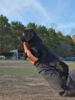 processed/b79182c0-65ef-4d1b-8024-485b4983ce2e/listing/cf8ac3a0-6031-42ed-924d-8239a31e4bc7/b5b055f9-37b9-4051-a7e9-2a6bf55a2ee5