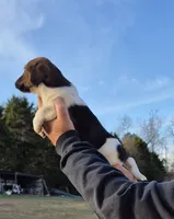 processed/b79182c0-65ef-4d1b-8024-485b4983ce2e/listing/df035a80-eb1d-4831-b605-7c47b523d0f9/3c9c820d-129c-4424-8d4a-37bceff21623