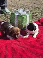 processed/b79182c0-65ef-4d1b-8024-485b4983ce2e/listing/df035a80-eb1d-4831-b605-7c47b523d0f9/813b90e0-4830-42f2-99da-8b8089a787ce