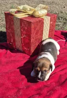 processed/b79182c0-65ef-4d1b-8024-485b4983ce2e/listing/df035a80-eb1d-4831-b605-7c47b523d0f9/abce1b35-b937-44ba-a91f-76dc0eaf1800