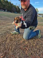 processed/b79182c0-65ef-4d1b-8024-485b4983ce2e/listing/df035a80-eb1d-4831-b605-7c47b523d0f9/ec0d4c34-2c83-49d7-bf57-c6b948fd2231