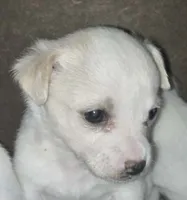 processed/b79482e5-a3bf-4ddd-9eb7-0d71dbcc09a7/listing/7916fd91-ca31-4b74-ae36-659eea91204e/0ed79816-3a24-4fae-ad22-71defe3abb1e