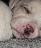 processed/b79482e5-a3bf-4ddd-9eb7-0d71dbcc09a7/listing/7916fd91-ca31-4b74-ae36-659eea91204e/11aff145-0258-425e-a2e6-566243228fa9