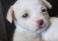 processed/b79482e5-a3bf-4ddd-9eb7-0d71dbcc09a7/listing/7916fd91-ca31-4b74-ae36-659eea91204e/b13ff575-df0c-49ef-a7f2-642ac2adf4ef