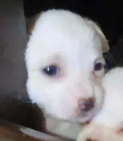 processed/b79482e5-a3bf-4ddd-9eb7-0d71dbcc09a7/listing/7916fd91-ca31-4b74-ae36-659eea91204e/fb7a584f-9a96-4dfc-95d9-2406f1ac9608