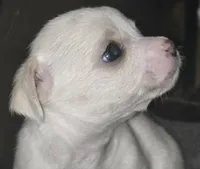 processed/b79482e5-a3bf-4ddd-9eb7-0d71dbcc09a7/listing/beb32e38-180b-4ad6-b93e-927d4514658b/28784a14-888d-436c-90c5-7021b8e8eca0