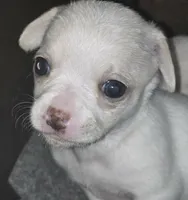 processed/b79482e5-a3bf-4ddd-9eb7-0d71dbcc09a7/listing/beb32e38-180b-4ad6-b93e-927d4514658b/64eec8dc-00ff-4347-a5d3-e2c2e66c288c