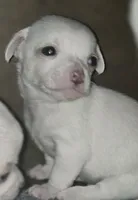 processed/b79482e5-a3bf-4ddd-9eb7-0d71dbcc09a7/listing/beb32e38-180b-4ad6-b93e-927d4514658b/98929d8b-aee6-4418-807e-ce08c4318918