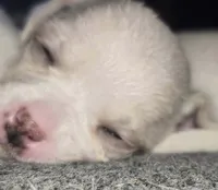 processed/b79482e5-a3bf-4ddd-9eb7-0d71dbcc09a7/listing/beb32e38-180b-4ad6-b93e-927d4514658b/9ccd1fbf-25f6-421f-a1d8-25f7f4bf4c05