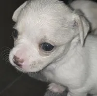 processed/b79482e5-a3bf-4ddd-9eb7-0d71dbcc09a7/listing/beb32e38-180b-4ad6-b93e-927d4514658b/f7b9975c-8f18-4dd5-af84-9f8437a57fe9