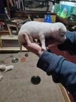 processed/b79482e5-a3bf-4ddd-9eb7-0d71dbcc09a7/listing/c1727175-8dd9-44ba-8bca-f660078d827f/2fbef58c-dc55-4b6c-a2c9-ef24b91b3969