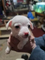 processed/b79482e5-a3bf-4ddd-9eb7-0d71dbcc09a7/listing/c1727175-8dd9-44ba-8bca-f660078d827f/845ab204-b89e-4c0d-a38c-de64ef1b73b7