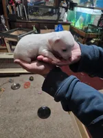 processed/b79482e5-a3bf-4ddd-9eb7-0d71dbcc09a7/listing/c1727175-8dd9-44ba-8bca-f660078d827f/b95110c1-4a3b-4961-886d-6bb57a526a33