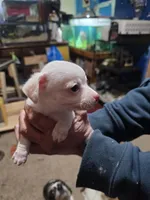 processed/b79482e5-a3bf-4ddd-9eb7-0d71dbcc09a7/listing/c1727175-8dd9-44ba-8bca-f660078d827f/c04f1ca8-705b-4b7b-bafd-3f1f46e90b0d