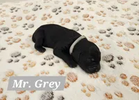 processed/b79c42e1-70cd-47d0-bc9a-cdc2705c0fdb/listing/47d1180a-6e20-4b94-b232-bf6da3e77abd/8ba4a54c-161a-4ce5-81bd-d3ad80c9070c