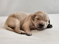 processed/b79c42e1-70cd-47d0-bc9a-cdc2705c0fdb/listing/b50cdeca-b887-40d3-ad17-7931cc40c4f2/a267a0e8-8f7a-47ad-ac1b-2b2faa40de7f