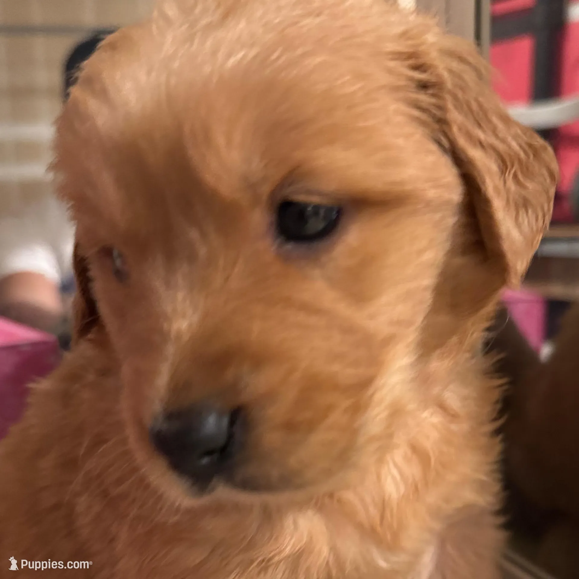 processed/b7a9de81-6f8c-4757-9d78-0b17096f79af/listing/3b296ea9-28c9-4d38-b3cd-d9911db3bf69/de3e4aba-5db4-497c-8ea1-e973fe19e14a