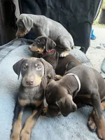 processed/b7c92340-3d85-40fc-886c-797e6d725542/listing/1847abc9-7692-40c7-8c75-0b2e0b86850c/0154c40c-ce43-449b-8c0c-9e05054f18ac