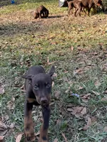 processed/b7c92340-3d85-40fc-886c-797e6d725542/listing/1847abc9-7692-40c7-8c75-0b2e0b86850c/467908cb-44c8-4d8c-ac4e-eb25cb73c2a8