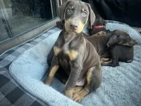 processed/b7c92340-3d85-40fc-886c-797e6d725542/listing/1847abc9-7692-40c7-8c75-0b2e0b86850c/82099091-17eb-4a68-bd16-7020e0a1fd4e