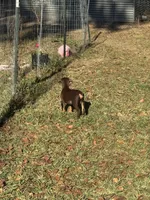 processed/b7c92340-3d85-40fc-886c-797e6d725542/listing/1847abc9-7692-40c7-8c75-0b2e0b86850c/ccbdc9c9-ae18-4fd6-93a9-651dc70643e0