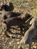 processed/b7c92340-3d85-40fc-886c-797e6d725542/listing/1847abc9-7692-40c7-8c75-0b2e0b86850c/d68aacbd-4a6c-48a3-8d97-9897f0f98cd9