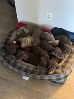 processed/b7c92340-3d85-40fc-886c-797e6d725542/listing/1847abc9-7692-40c7-8c75-0b2e0b86850c/d92247fd-c142-49b7-b59c-87a8af2eb8ec