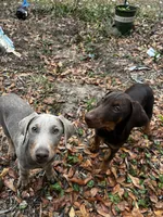 processed/b7c92340-3d85-40fc-886c-797e6d725542/listing/1847abc9-7692-40c7-8c75-0b2e0b86850c/f92b8afd-b647-44d9-a478-3d2f26462cc9