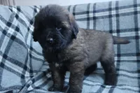 processed/b7cff9fc-3a60-4fa3-8db5-c9e295619936/listing/0567cbf0-e951-4bb4-a46b-1f79b3f96c15/2a54887e-ae23-42ea-9ba5-05864487458b