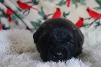 processed/b7cff9fc-3a60-4fa3-8db5-c9e295619936/listing/0567cbf0-e951-4bb4-a46b-1f79b3f96c15/431e1e50-c3a2-410b-93f8-2f3622bc7ccf