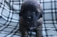 processed/b7cff9fc-3a60-4fa3-8db5-c9e295619936/listing/0567cbf0-e951-4bb4-a46b-1f79b3f96c15/d91d596b-7c45-4b5a-9bd3-e5661a9c13c3